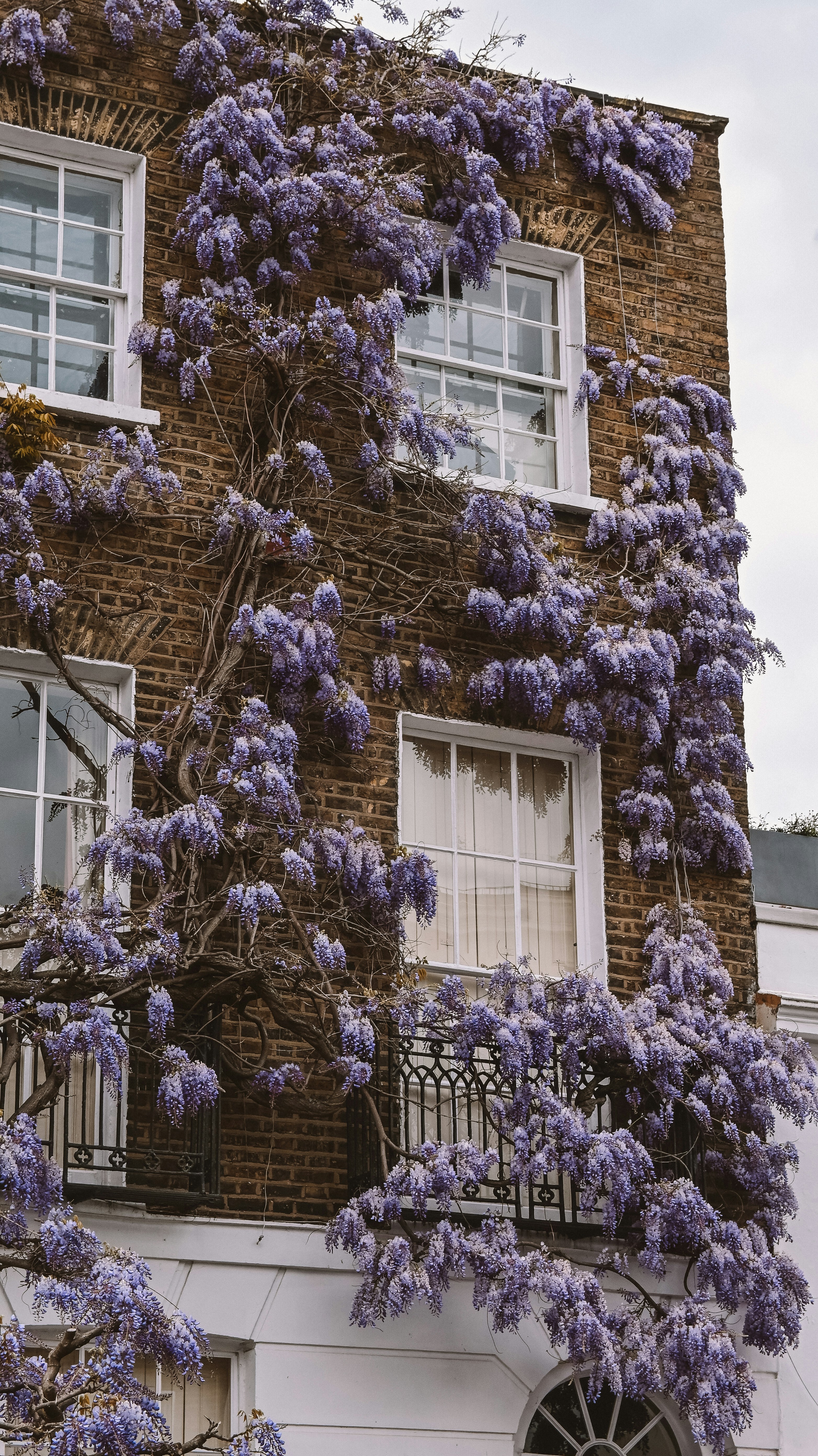 Photo by nadiiapetrakova