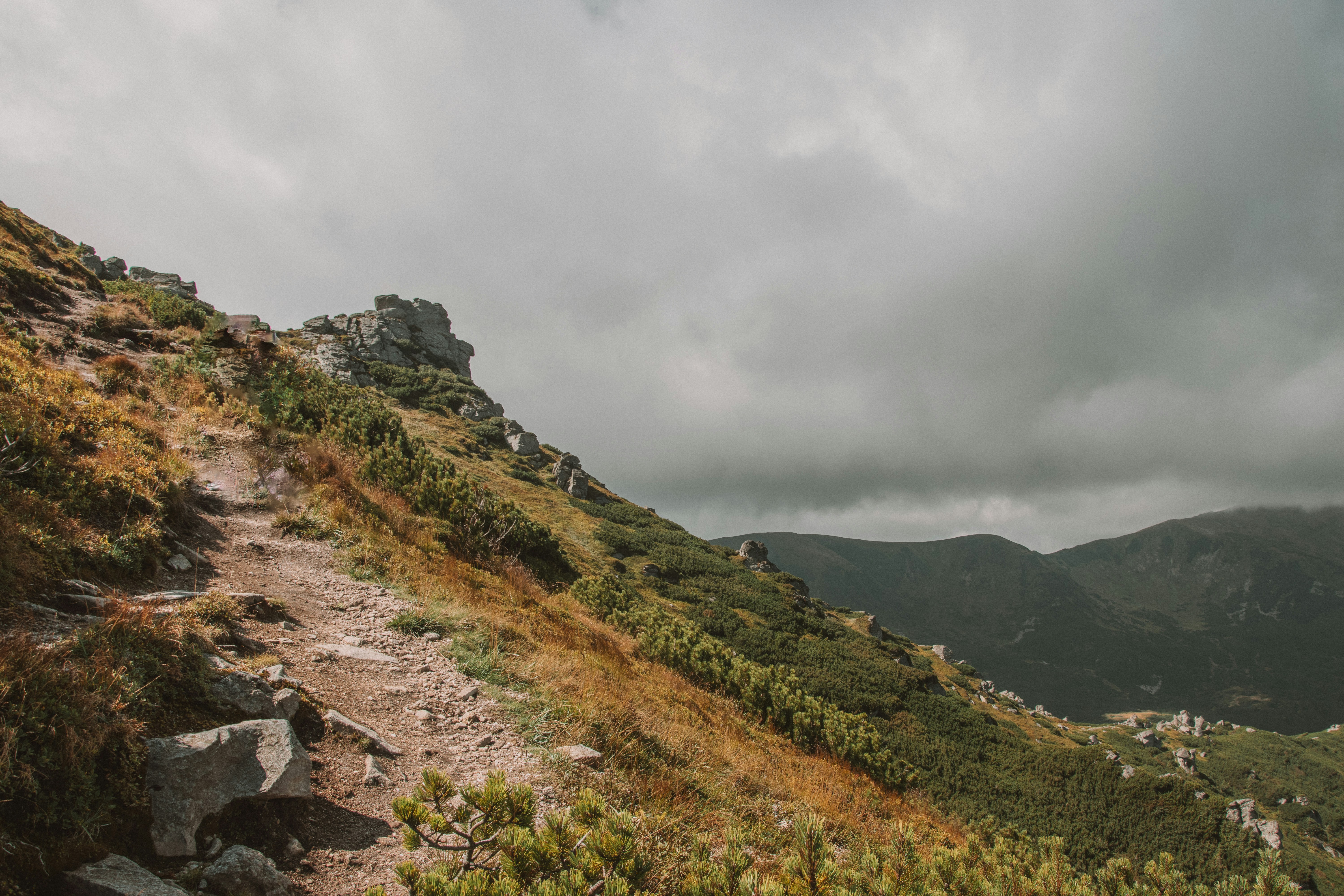 Photo by nadiiapetrakova