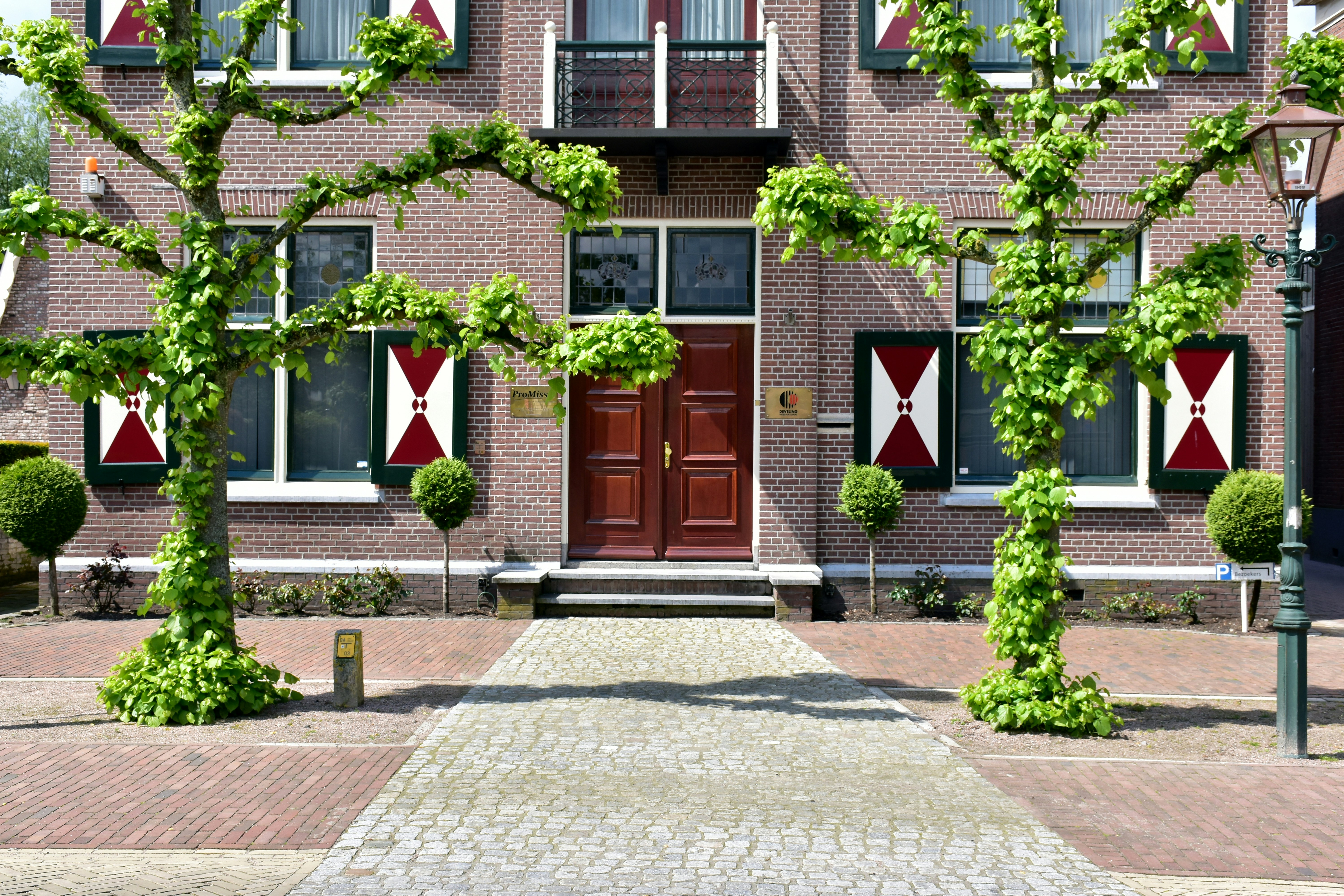 Hollanda'da mesleki denklik ve diploma tanınma sürecini temsil eden, belgelerle çalışan bir profesyonel ve Hollanda temalı ofis ortamı.