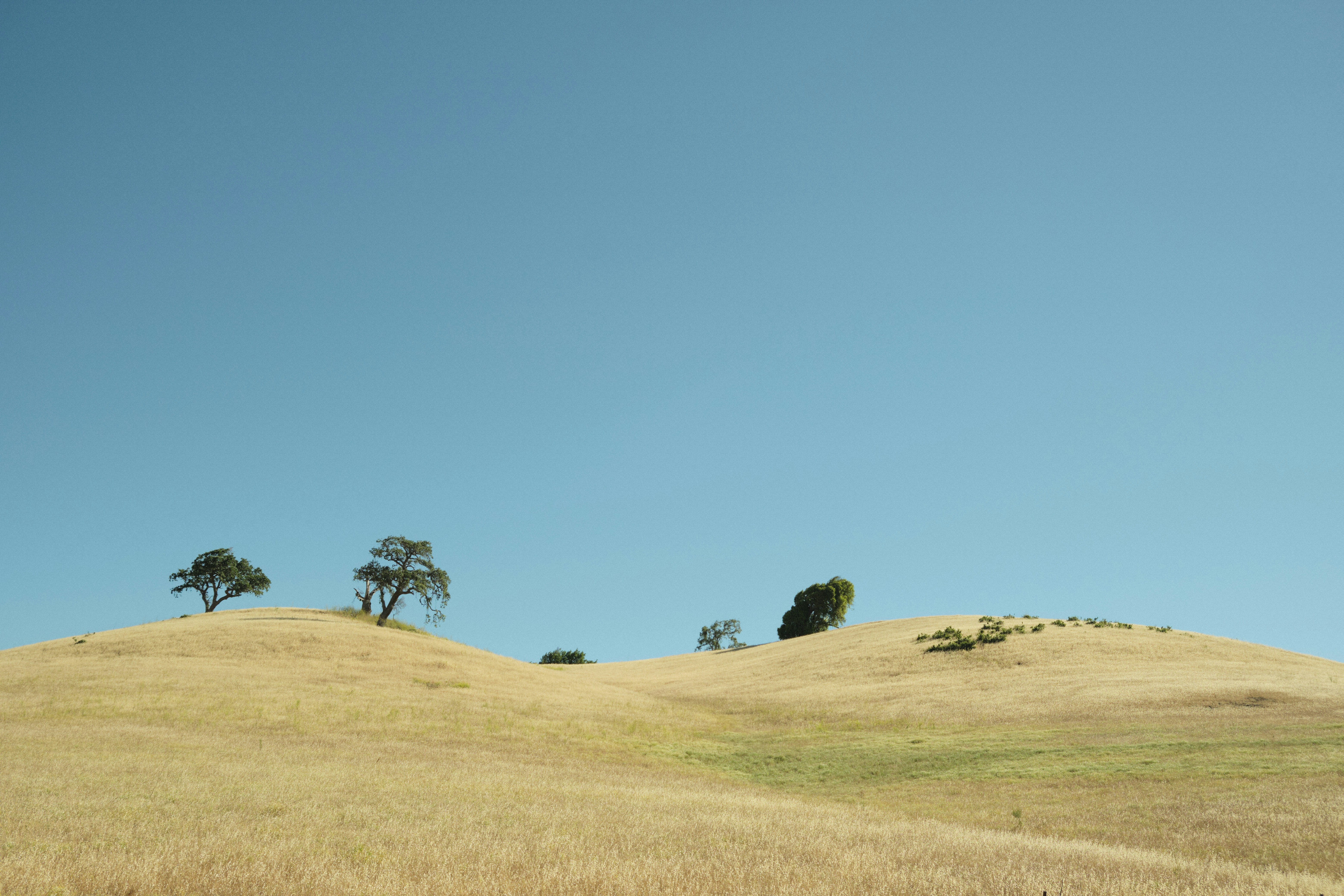 Featured image of post PayloadsAllTheThings