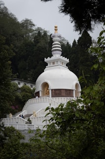 a white building with a golden top surrounded by trees
