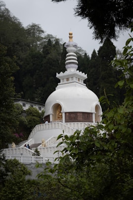 a white building with a golden top surrounded by trees