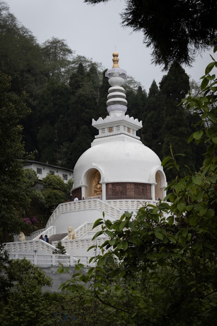 a white building with a golden top surrounded by trees