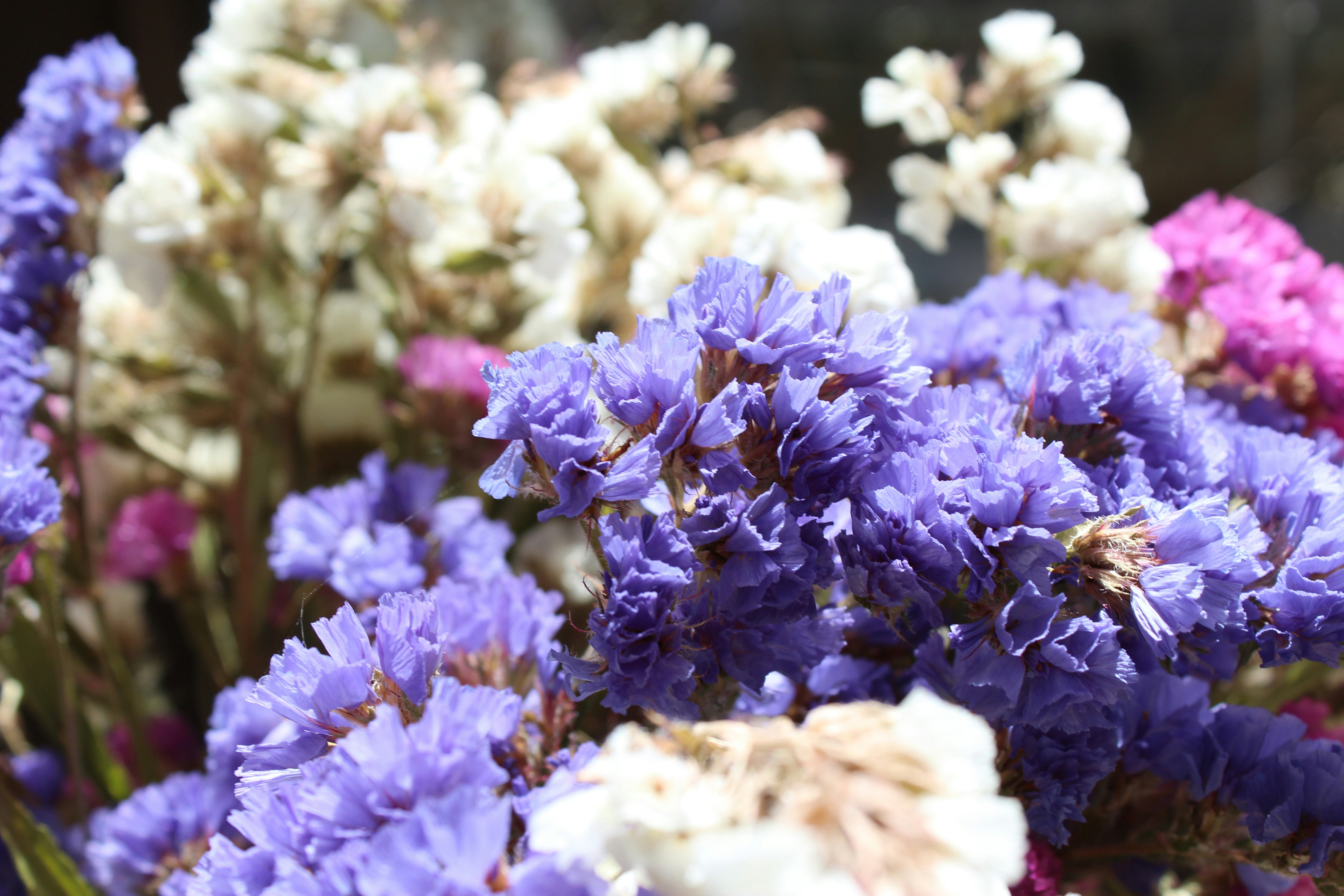 a bunch of purple and white flowers in a vase