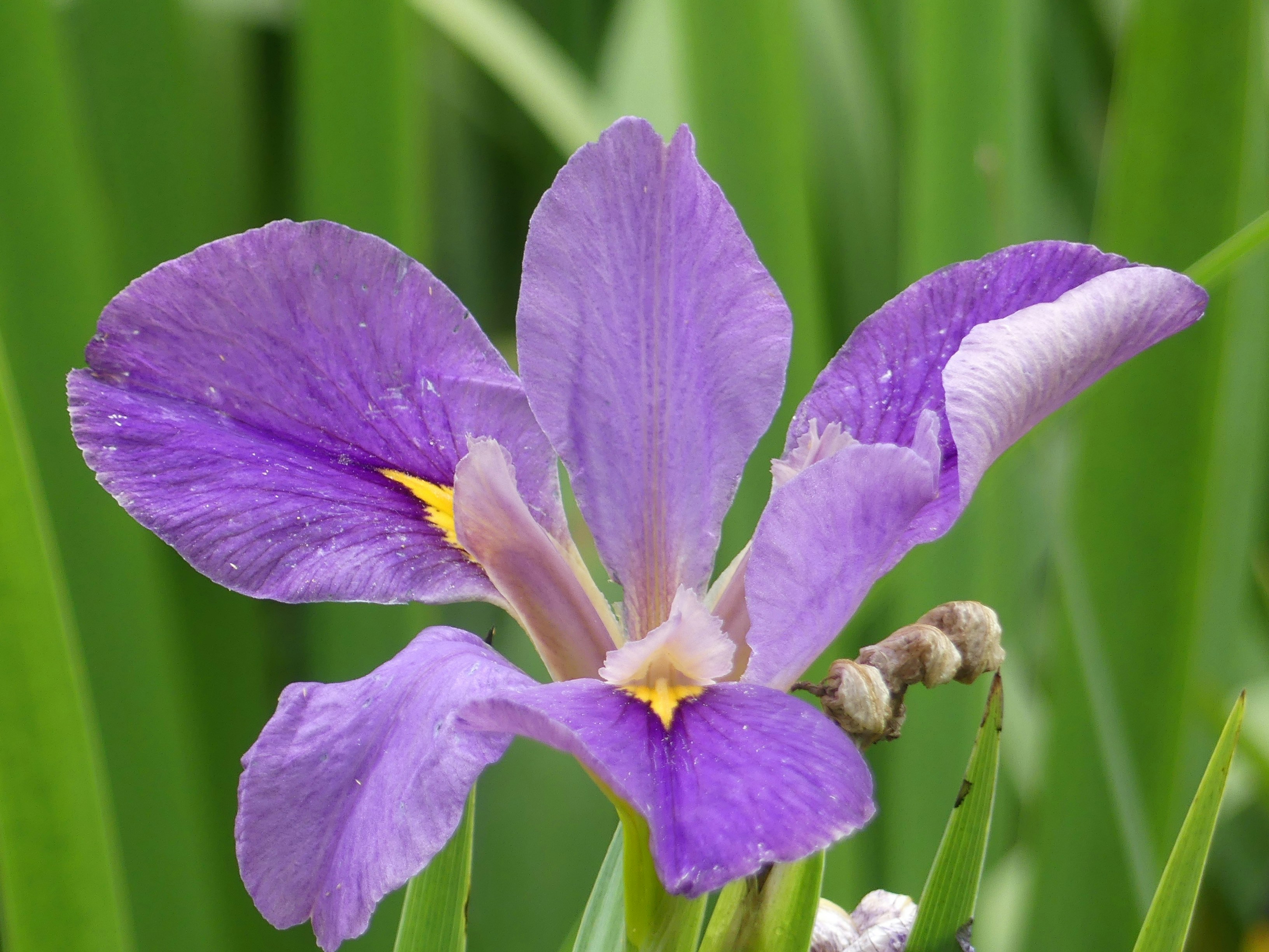 Photo by spicechikss