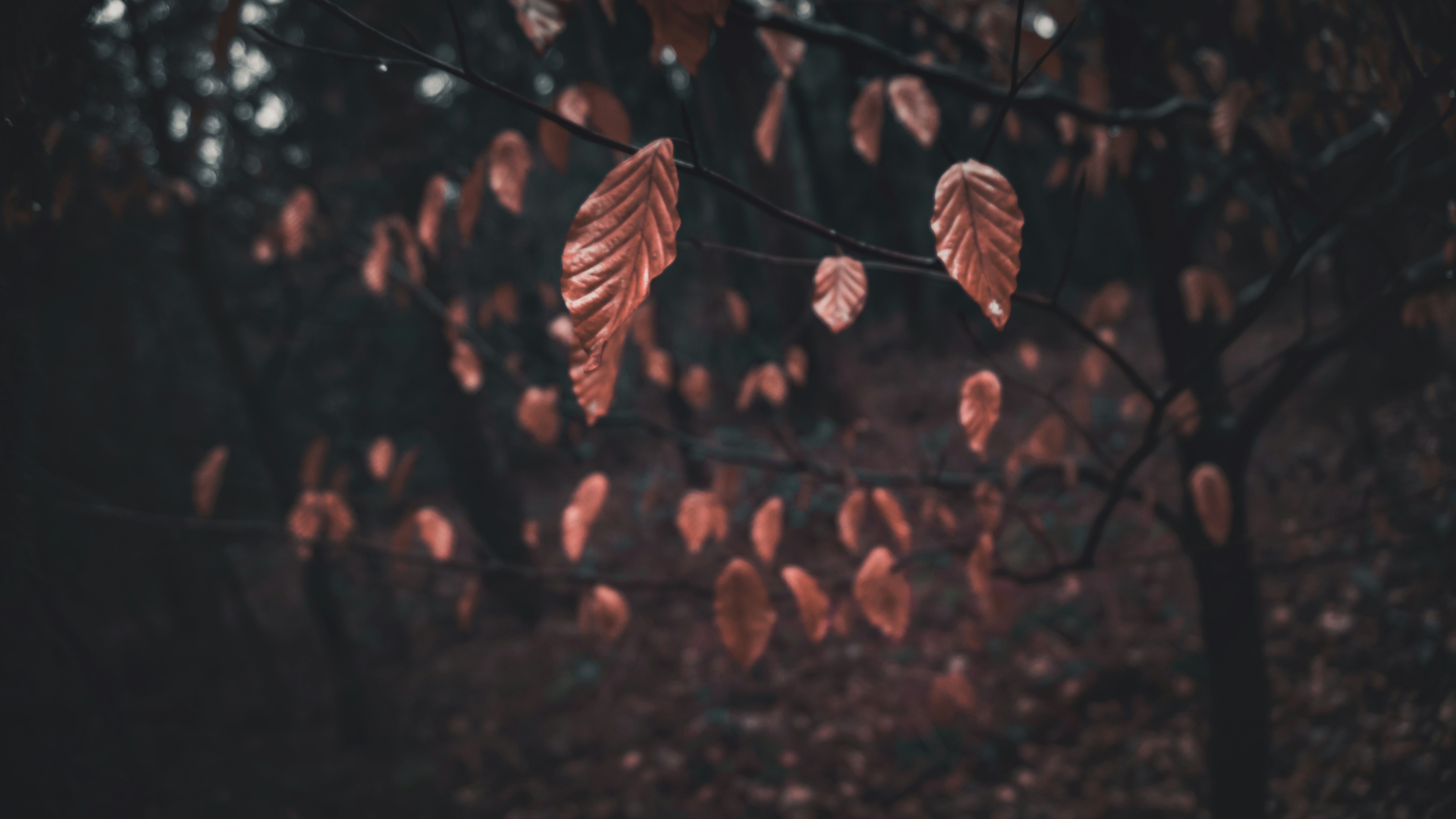 Photo by zaneee3