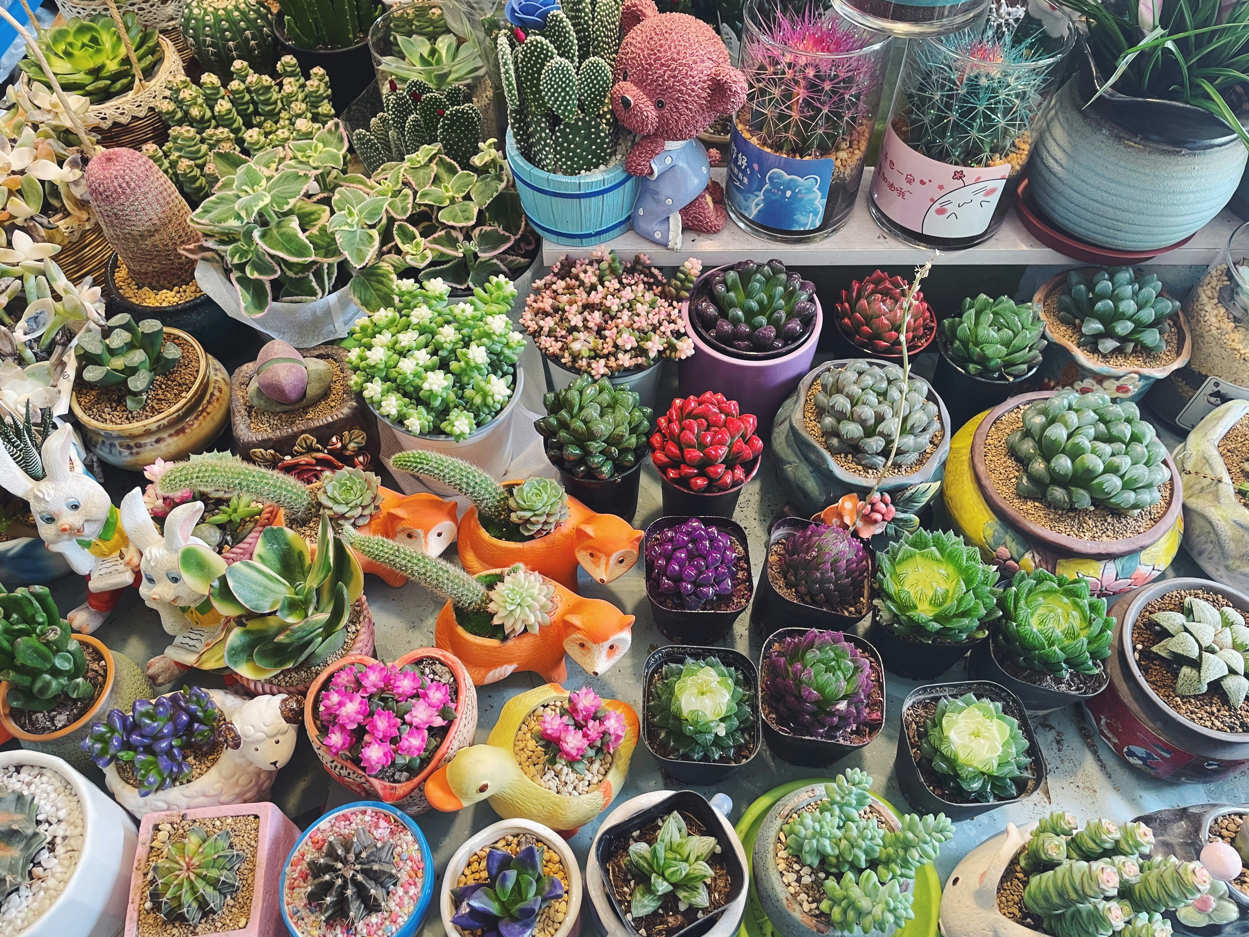 Photo by reginasong811