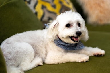 nikki is fresh from the salon and ready for her close-ups!,great photo recipes portfolio image