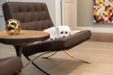 nikki is fresh from the salon and ready for her close-ups!,great photo recipes portfolio image