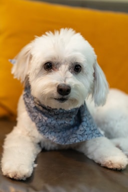 nikki is fresh from the salon and ready for her close-ups!,great photo recipes portfolio image