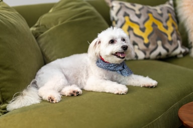 nikki is fresh from the salon and ready for her close-ups!,great photo recipes portfolio image