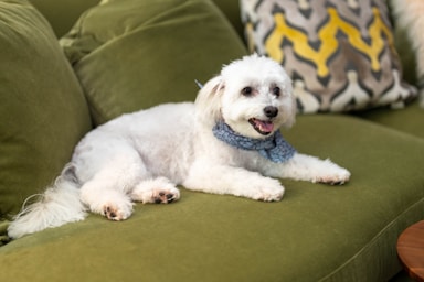 nikki is fresh from the salon and ready for her close-ups!,great photo recipes portfolio image