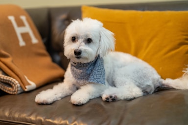 nikki is fresh from the salon and ready for her close-ups!,great photo recipes portfolio image