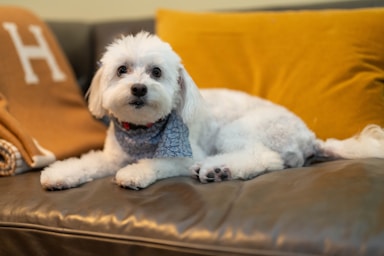 nikki is fresh from the salon and ready for her close-ups!,great photo recipes portfolio image