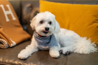 nikki is fresh from the salon and ready for her close-ups!,great photo recipes portfolio image