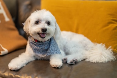 nikki is fresh from the salon and ready for her close-ups!,great photo recipes portfolio image