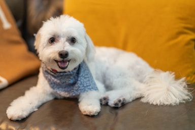 nikki is fresh from the salon and ready for her close-ups!,great photo recipes portfolio image