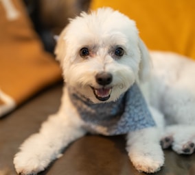 nikki is fresh from the salon and ready for her close-ups!,great photo recipes portfolio image