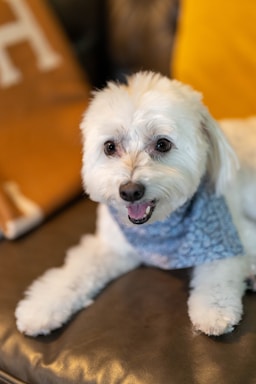 nikki is fresh from the salon and ready for her close-ups!,great photo recipes portfolio image