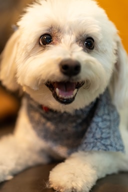 nikki is fresh from the salon and ready for her close-ups!,great photo recipes portfolio image
