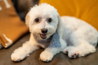 nikki is fresh from the salon and ready for her close-ups!,great photo recipes portfolio image