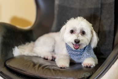 nikki is fresh from the salon and ready for her close-ups!,great photo recipes portfolio image
