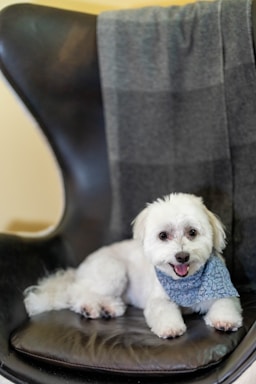 nikki is fresh from the salon and ready for her close-ups!,great photo recipes portfolio image