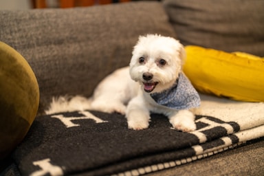 nikki is fresh from the salon and ready for her close-ups!,great photo recipes portfolio image