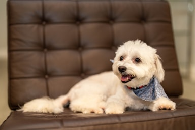 nikki is fresh from the salon and ready for her close-ups!,great photo recipes portfolio image