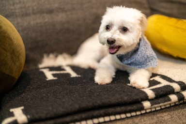 nikki is fresh from the salon and ready for her close-ups!,great photo recipes portfolio image