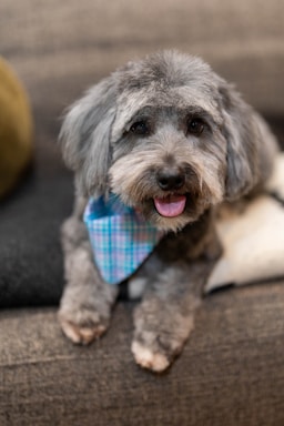 max's post-groom glow-up!,great photo recipes portfolio image