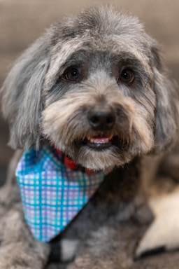 max's post-groom glow-up!,great photo recipes portfolio image