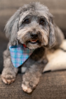 max's post-groom glow-up!,great photo recipes portfolio image