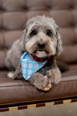 max's post-groom glow-up!,great photo recipes portfolio image