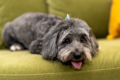 max's post-groom glow-up!,great photo recipes portfolio image