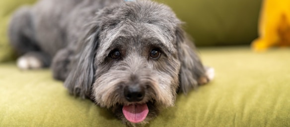 max's post-groom glow-up!,great photo recipes portfolio image