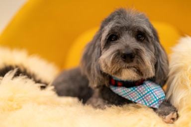 max's post-groom glow-up!,great photo recipes portfolio image