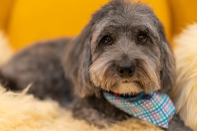 max's post-groom glow-up!,great photo recipes portfolio image