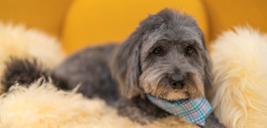 max's post-groom glow-up!,great photo recipes portfolio image