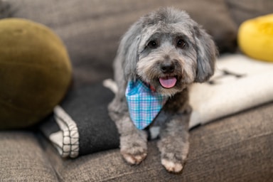 max's post-groom glow-up!,great photo recipes portfolio image