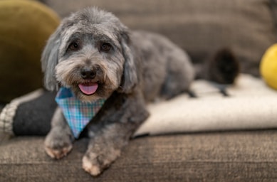 max's post-groom glow-up!,great photo recipes portfolio image