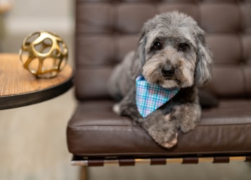 max's post-groom glow-up!,great photo recipes portfolio image