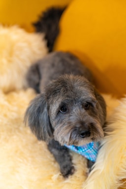 max's post-groom glow-up!,great photo recipes portfolio image
