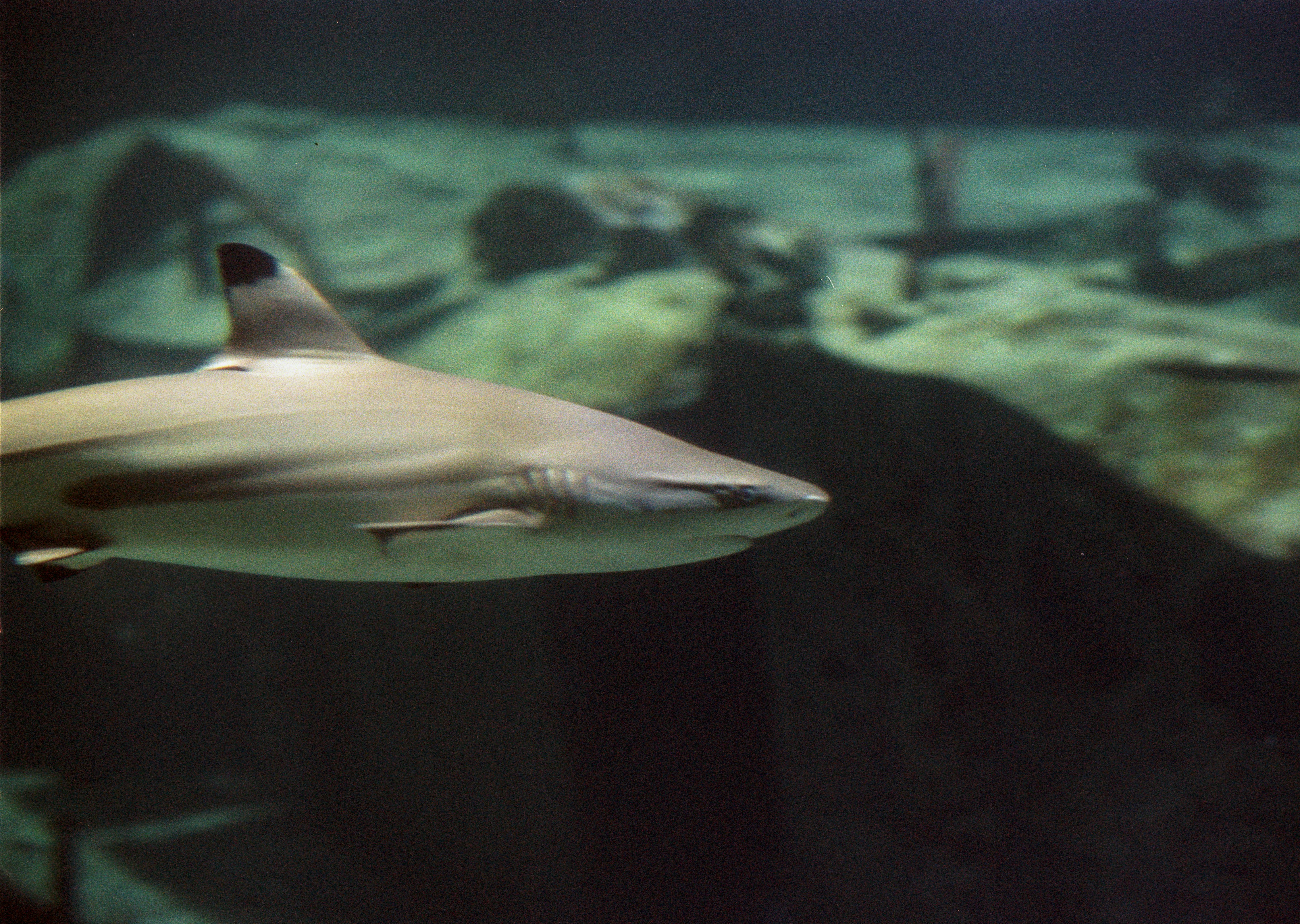 Photo by artistseyes