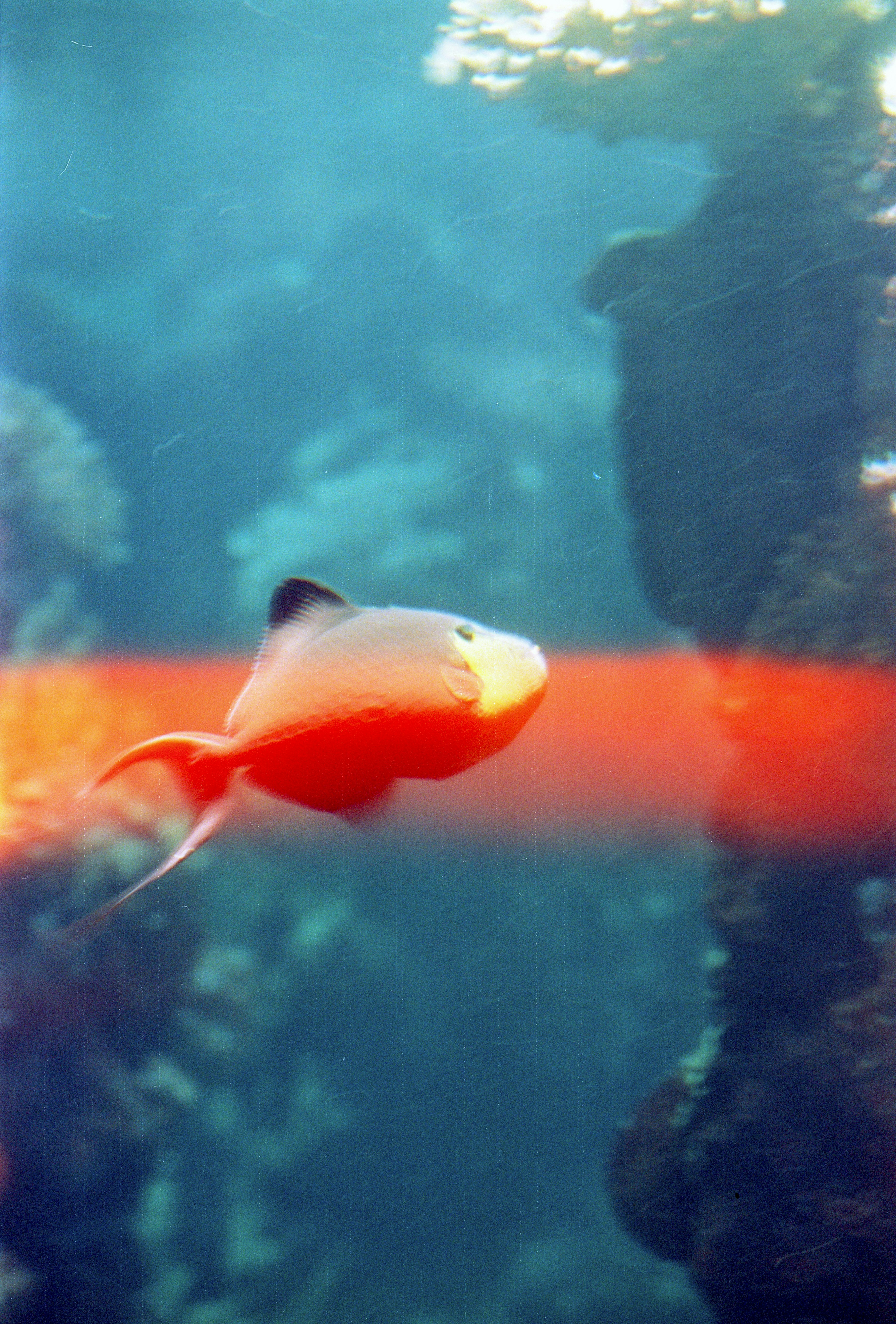 Photo by artistseyes