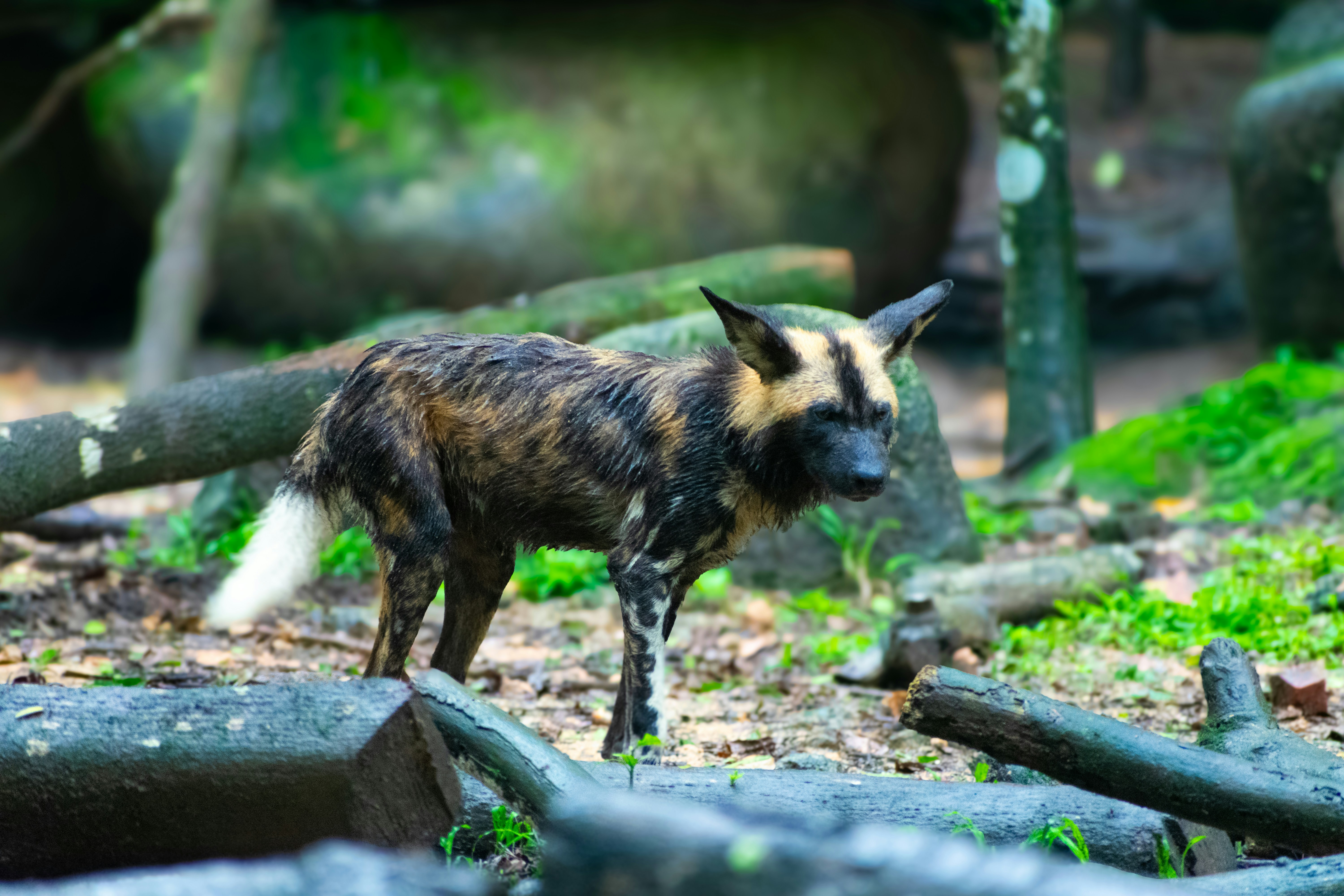 Photo by probablyrobin