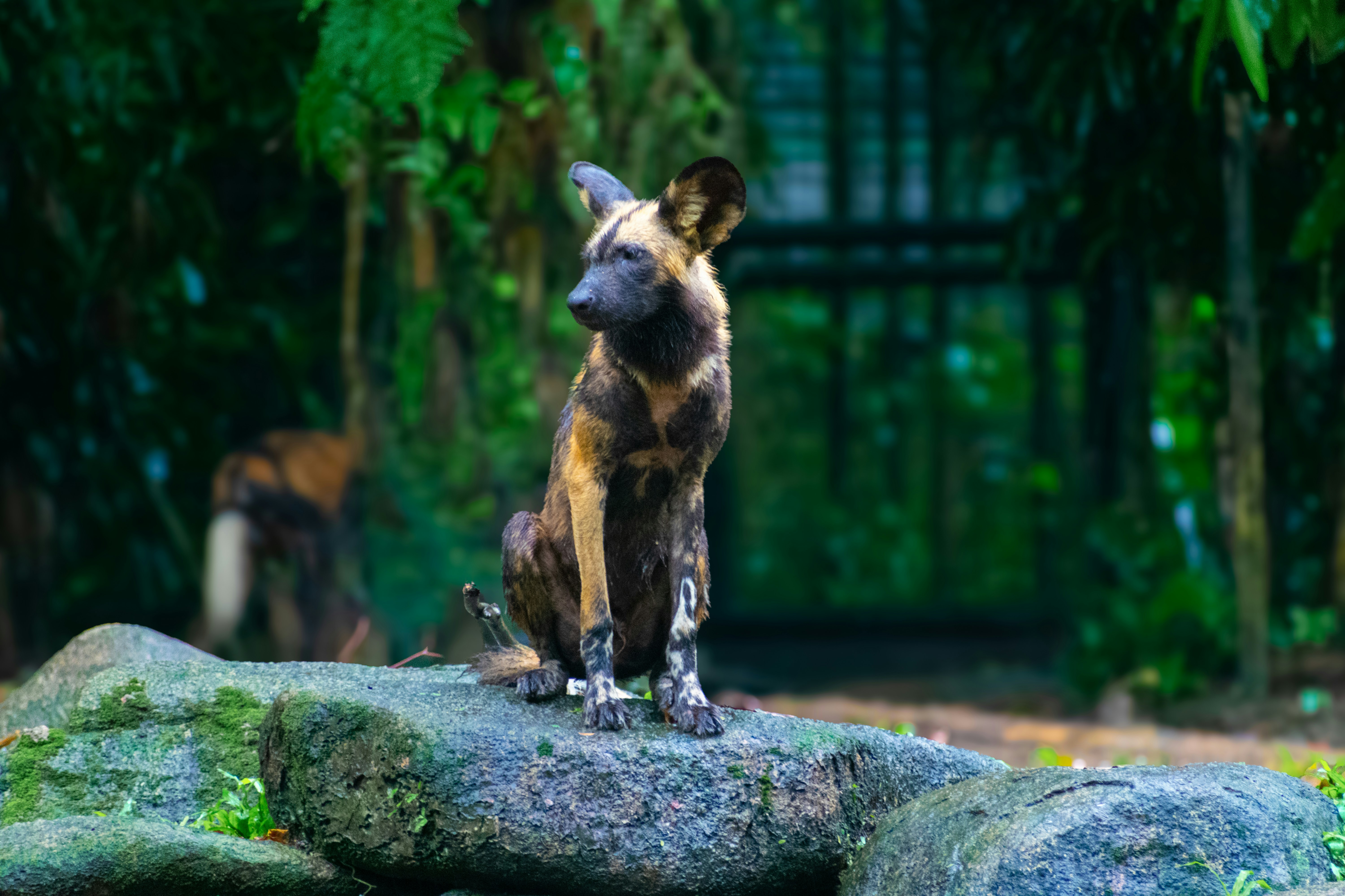 Photo by probablyrobin