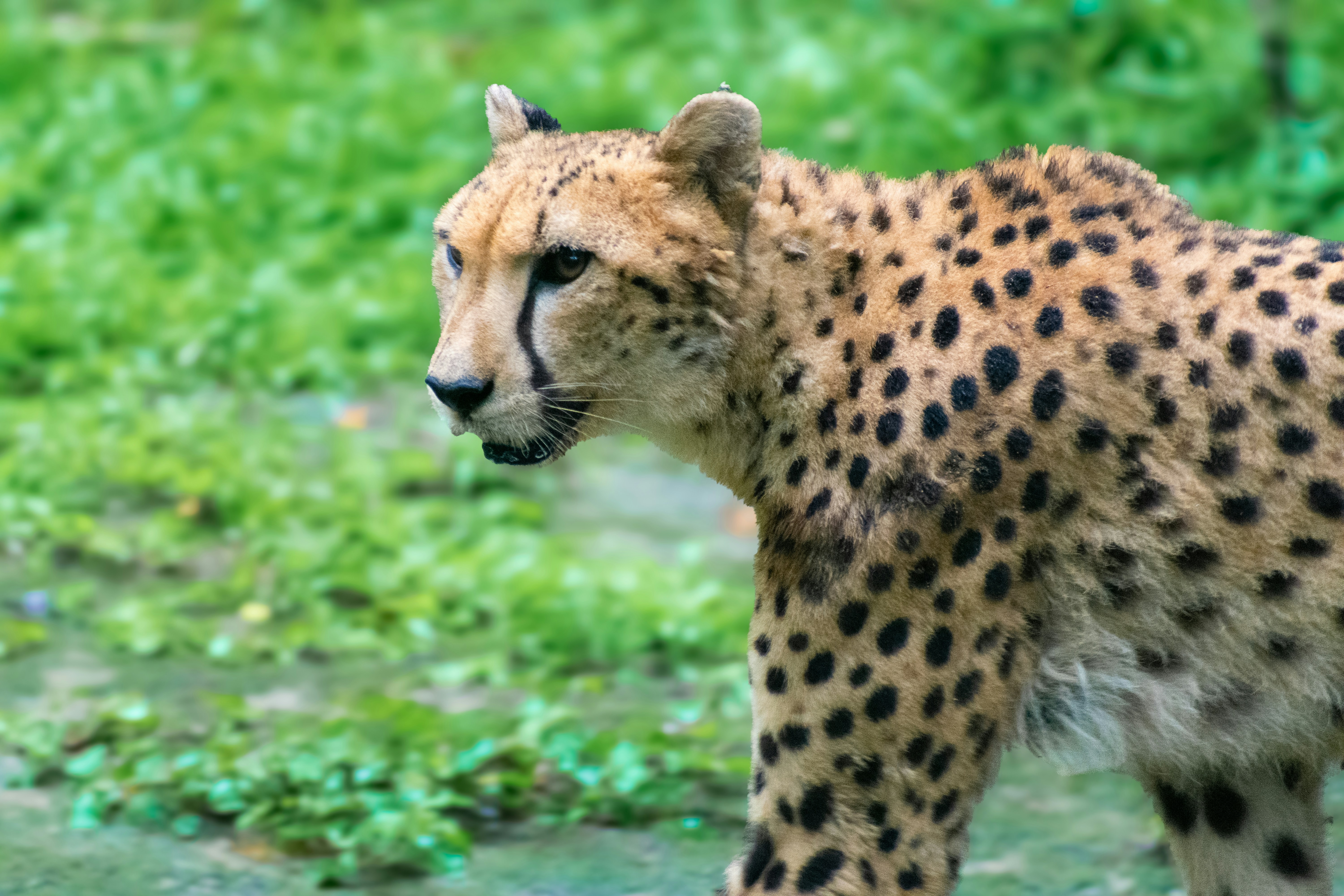 Photo by probablyrobin