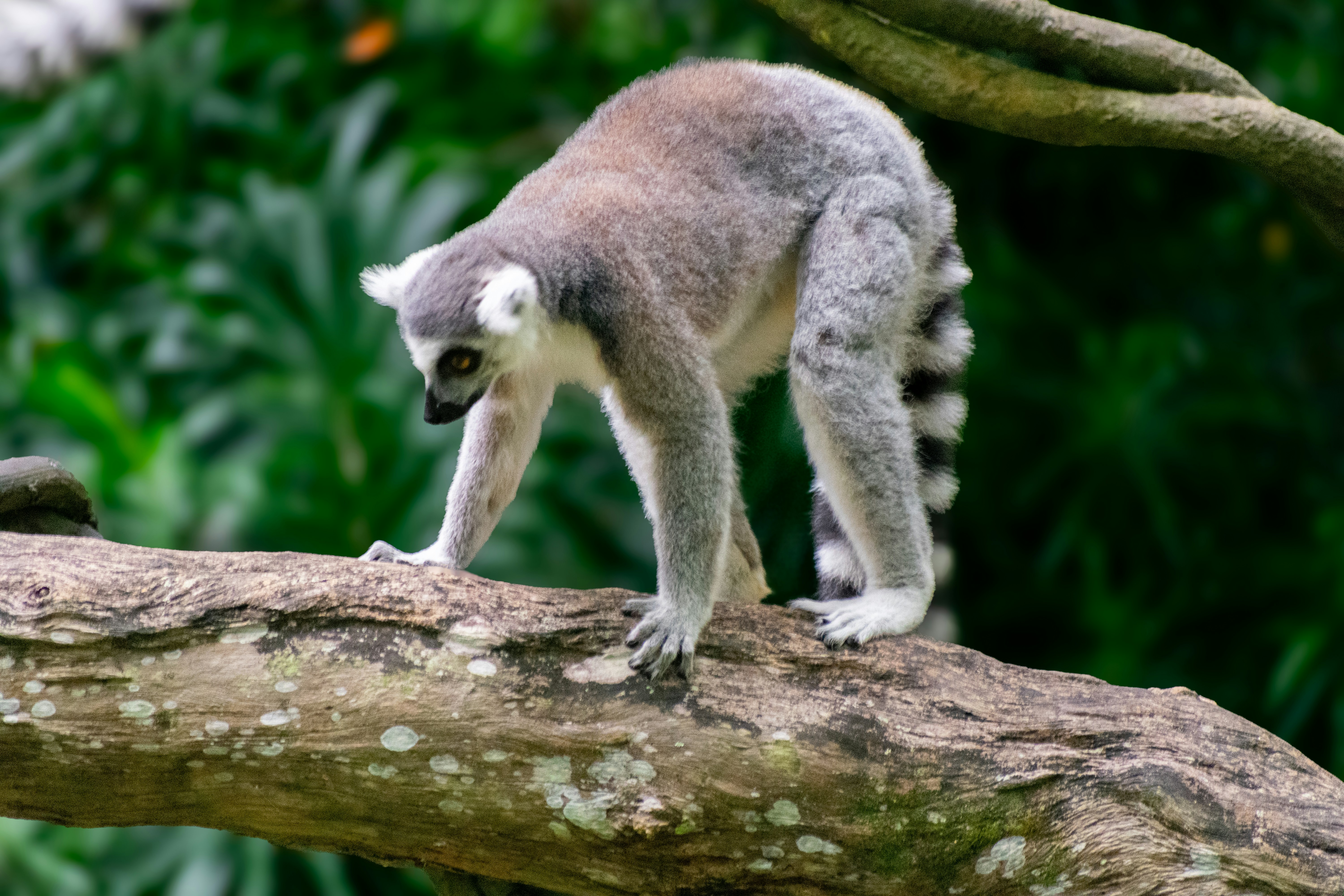 Photo by probablyrobin