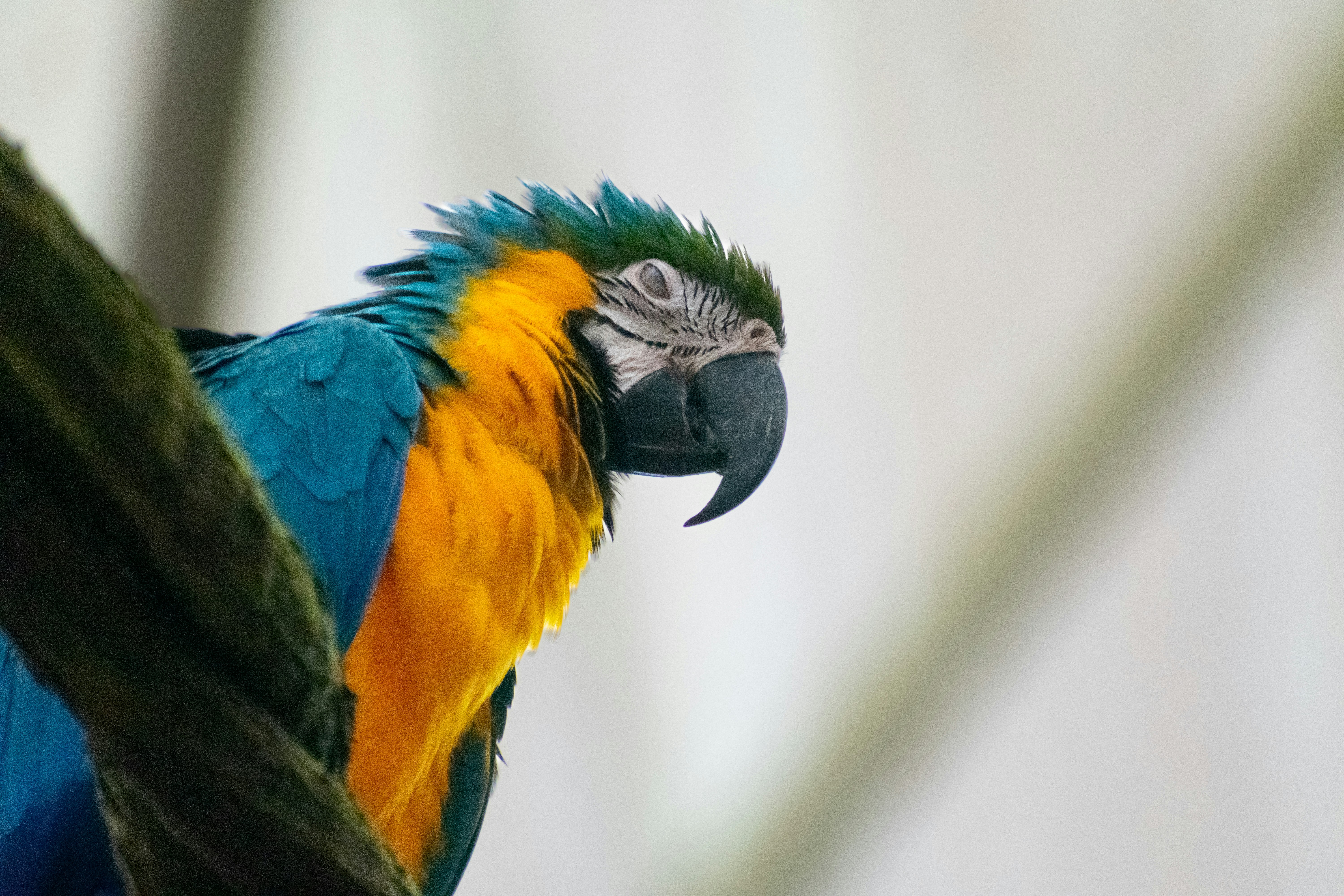 Photo by probablyrobin